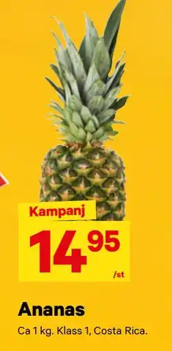 City Gross Ananas erbjuda