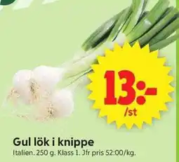 ICA Supermarket Gul lök i knippe erbjuda