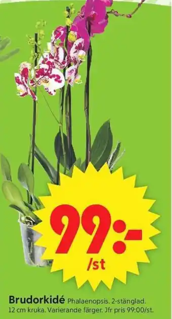 ICA Supermarket Brudorkidé erbjuda