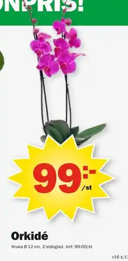 Pekås Orkidé erbjuda