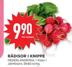 Willys RÄDISOR I KNIPPE erbjuda