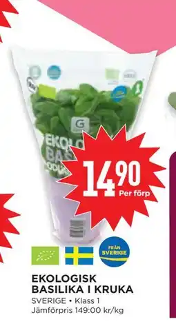 Willys EKOLOGISK BASILIKA I KRUKA erbjuda