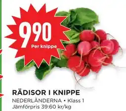 Willys Hemma RÄDISOR I KNIPPE erbjuda