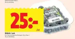 ICA Kvantum Blåbär i ask erbjuda