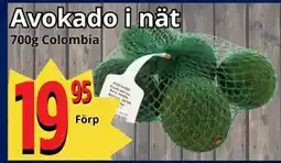 Supergrossen Avokado i nät erbjuda