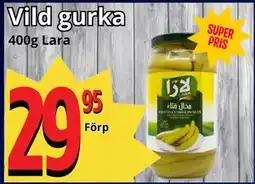 Supergrossen Vild gurka erbjuda