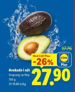 Lidl Avokado i nät erbjuda
