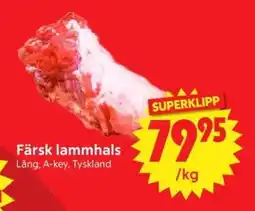 Nya Pulsen Färsk lammhals erbjuda