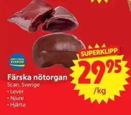 Nya Pulsen Färska nötorgan erbjuda