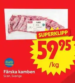 Nya Pulsen Färska kamben erbjuda