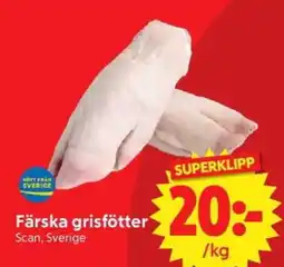 Nya Pulsen Färska grisfötter erbjuda