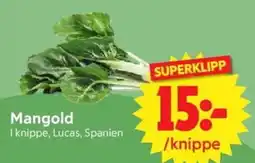 Nya Pulsen Mangold erbjuda