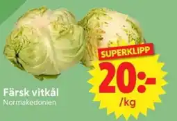 Nya Pulsen Färsk vitkål erbjuda