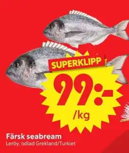 Nya Pulsen Färsk seabream erbjuda