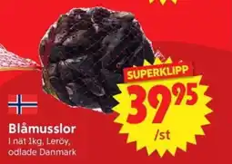 Nya Pulsen Blåmusslor erbjuda