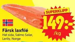 Nya Pulsen Färsk laxfilé erbjuda