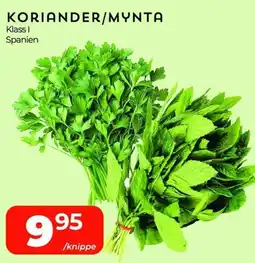 Matrix Butikerna Koriander/mynta erbjuda