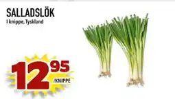 Din Mat Salladslök erbjuda