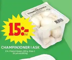 ICA Maxi ICA Champinjoner i ask erbjuda