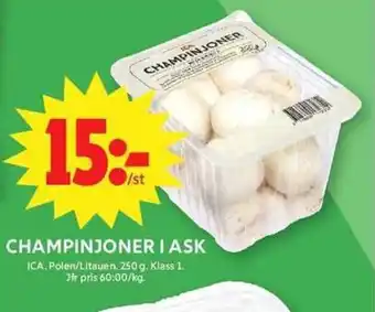 ICA Maxi ICA Champinjoner i ask erbjuda