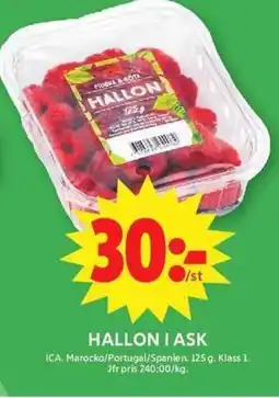 ICA Maxi ICA Hallon i ask erbjuda