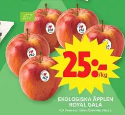 ICA Maxi ICA Ekologiska äpplen royal gala erbjuda
