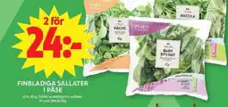 ICA Maxi ICA Finbladiga sallater i påse erbjuda