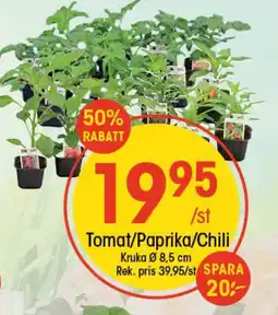 EKO Tomat/paprika/chili erbjuda