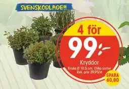 EKO Kryddor erbjuda