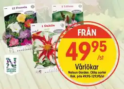 EKO NELSON GARDEN Vårlökar erbjuda