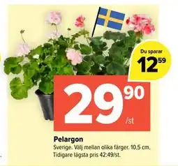 Coop Extra Pelargon erbjuda