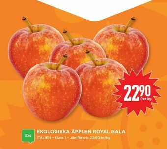 Willys Ekologiska äpplen royal gala erbjuda