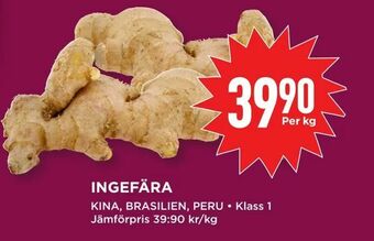 Willys Ingefära erbjuda