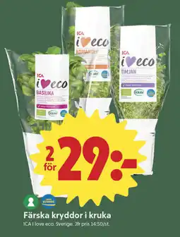 ICA Nära ICA Färska kryddor i kruka erbjuda