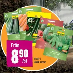 Hornbach Fröer i olika sorter erbjuda