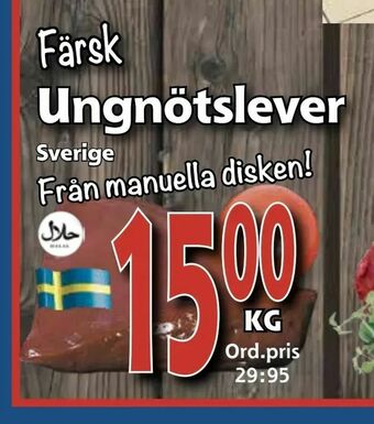 Supergrossen Ungnötslever erbjuda