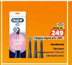 Power Borsthuvud Täta borst erbjuda