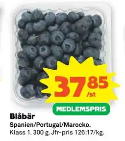 Stora Coop Blåbär, Medlemspris erbjuda
