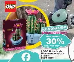 Lekextra LEGO Botanicals Blommande kaktus erbjuda
