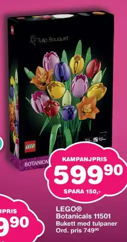 Lekextra LEGO Botanicals 11501 erbjuda