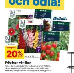 City Gross Fröpåsar, vårlökar erbjuda