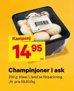 City Gross Champinjoner i ask erbjuda