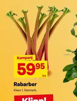 City Gross Rabarber erbjuda