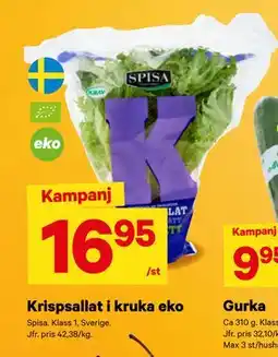 City Gross Krispsallat i kruka eko erbjuda