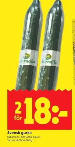 ICA Kvantum ODLARNASE Svensk gurka erbjuda