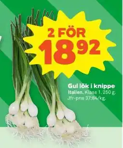 Coop GUL LÖK I KNIPPE erbjuda