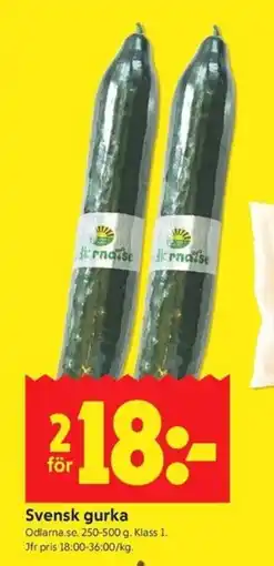 ICA Kvantum Svensk gurka erbjuda