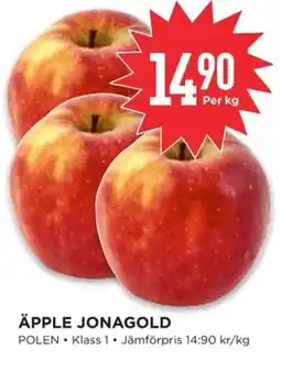Willys Äpple jonagold erbjuda