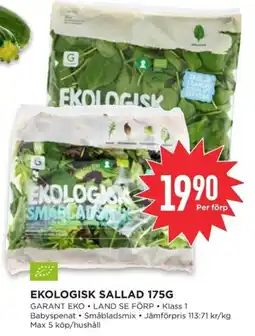 Willys Garant Ekologisk sallad erbjuda