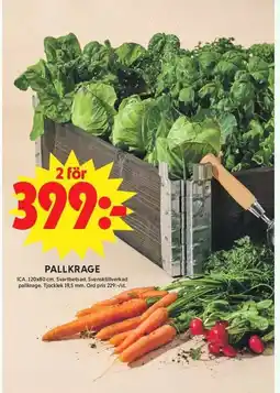 ICA Maxi Pallkrage erbjuda